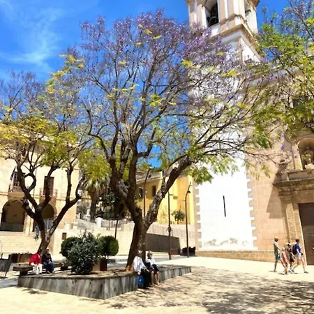 - Vivir La Vida Denia