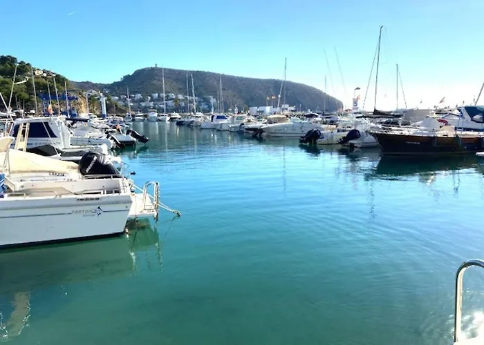 - Vivir La Vida Dénia